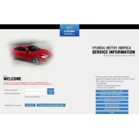 Hyundai original online one year account